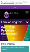 How wisc-online.com looks like on a mobile device such as an iPhone.
