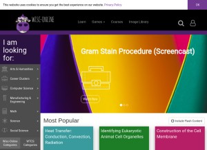 How wisc-online.com looks like on a tablet such as an iPad.