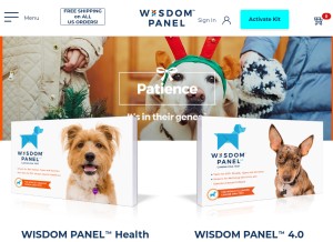 How wisdompanel.com looks like on a tablet such as an iPad.
