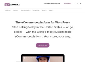 How woothemes.com looks like on a tablet such as an iPad.
