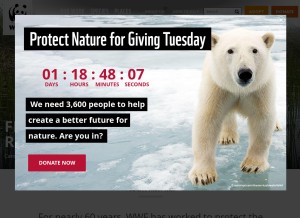 How worldwildlife.org looks like on a tablet such as an iPad.