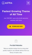 How wpastra.com looks like on a mobile device such as an iPhone.