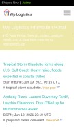 How wplogistics.top looks like on a mobile device such as an iPhone.