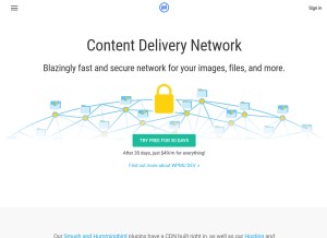 How wpmucdn.com looks like on a tablet such as an iPad.