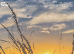 How wsi.com looks like on a tablet such as an iPad.