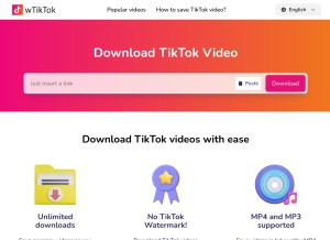 How wtiktok.com looks like on a tablet such as an iPad.