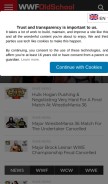 How wwfoldschool.com looks like on a mobile device such as an iPhone.