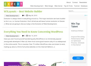 How xpertdeveloper.com looks like on a tablet such as an iPad.