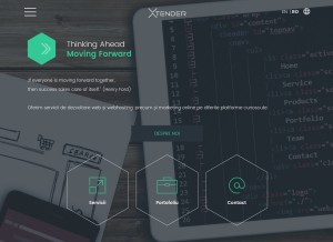 How xtender.ro looks like on a tablet such as an iPad.