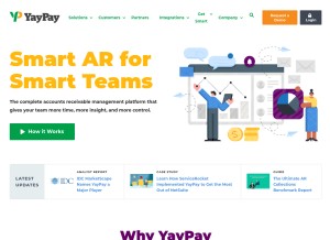 How yaypay.com looks like on a tablet such as an iPad.