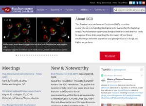 How yeastgenome.org looks like on a tablet such as an iPad.