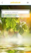 How yellowbook.com looks like on a mobile device such as an iPhone.