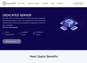 How zealotvps.com looks like on a tablet such as an iPad.