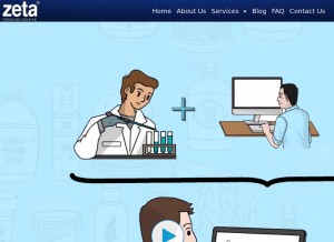 How zetatherapy.com looks like on a tablet such as an iPad.