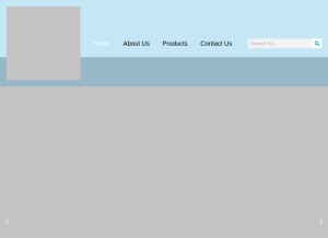 How zhaobio.com looks like on a tablet such as an iPad.