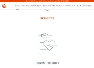 How ziamedicalcenter.com looks like on a tablet such as an iPad.