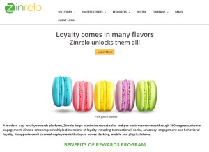 How zinrelo.com looks like on a tablet such as an iPad.
