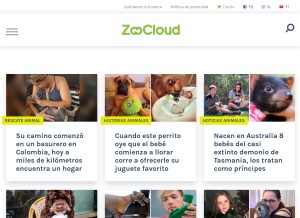 How zoocloud.co looks like on a tablet such as an iPad.